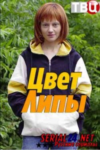 Цвет липы