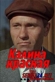 Калина красная