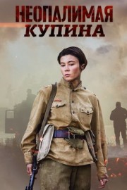 Неопалимая купина