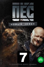 Пёс 7 сезон