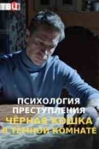 Психология преступления 3 Чёрная кошка в тёмной комнате