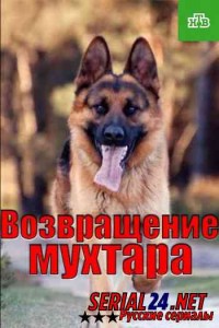 Возвращение Мухтара