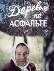 Деревья на асфальте