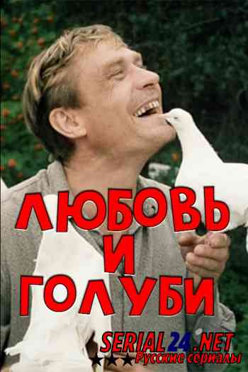 Любовь и голуби
