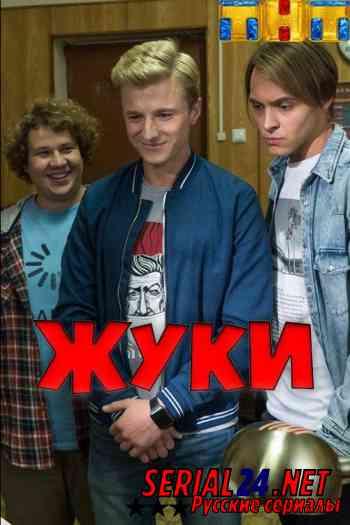 Жуки