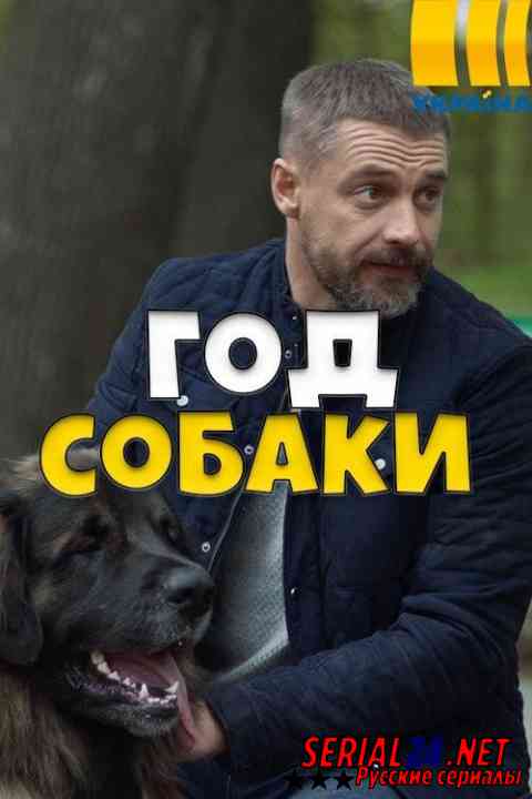 Год собаки