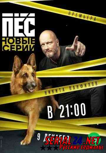 Пес 5 сезон