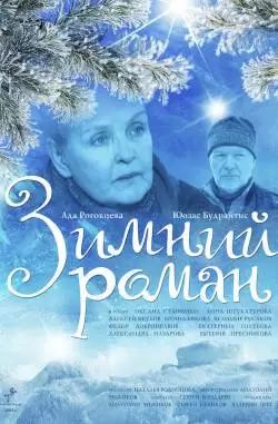 Зимний роман